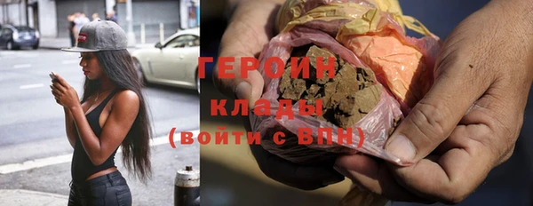 гидра Елизово