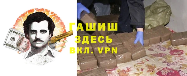 хмурый Ельня