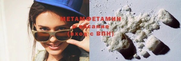 гидра Елизово