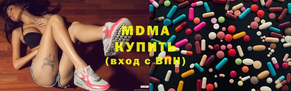 хмурый Ельня