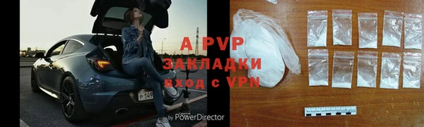 гидра Елизово