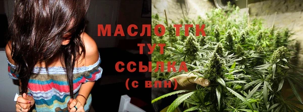 гидра Елизово