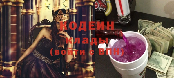 хмурый Ельня