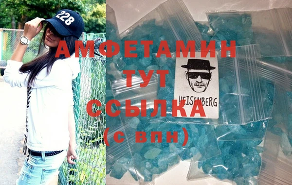гидра Елизово
