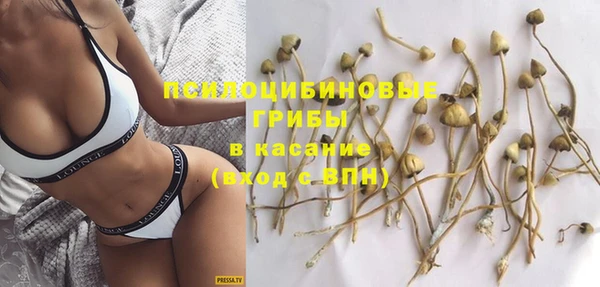 хмурый Ельня
