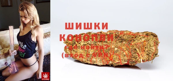 хмурый Ельня