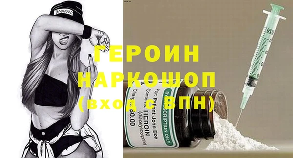 гидра Елизово