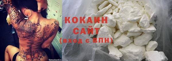 хмурый Ельня