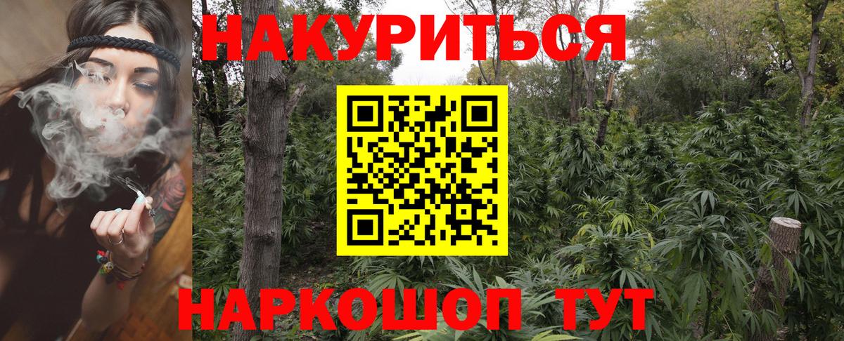 Каннабис тримм  Вход с VPN  Похвистнево  Канабис Bruce Banner  Конопля индика 